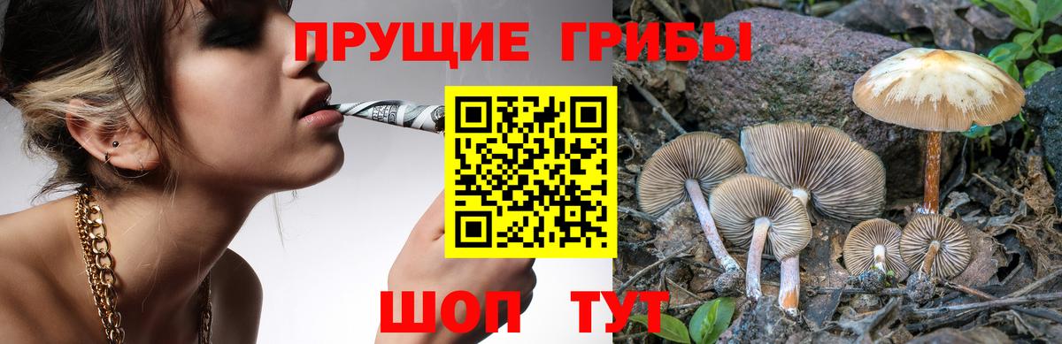 Псилоцибиновые грибы Magic Shrooms  Вход с VPN  закладки  Алексин 